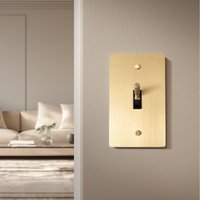 Solid Brass Toggle Switch single gang gold brass plate on a wall beside a living room