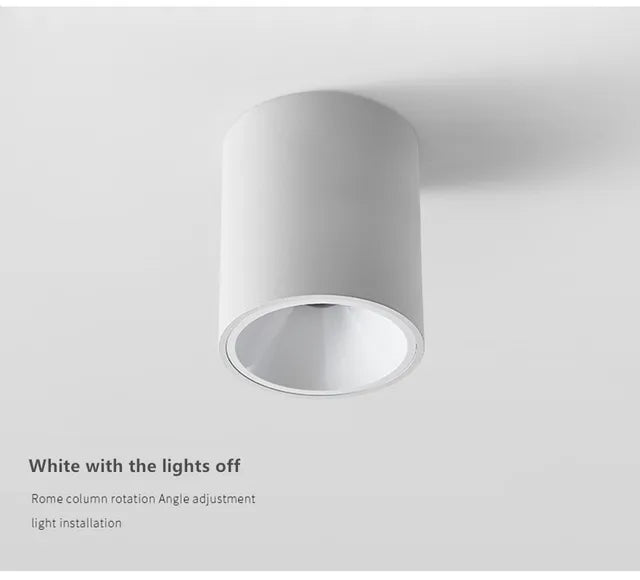 Surface Mounted Waterproof COB Ceiling Lamp