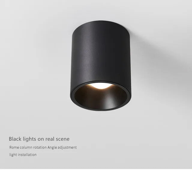 Surface Mounted Waterproof COB Ceiling Lamp