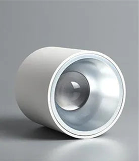 Surface Mounted Waterproof COB Ceiling Lamp