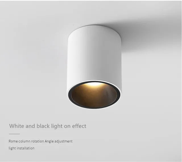 Surface Mounted Waterproof COB Ceiling Lamp