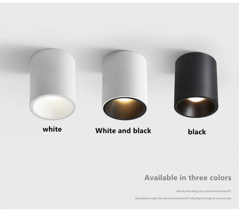 Surface Mounted Waterproof COB Ceiling Lamp