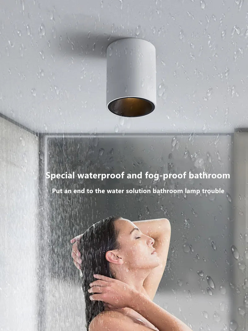Surface Mounted Waterproof COB Ceiling Lamp