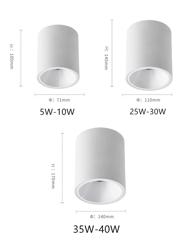 Surface Mounted Waterproof COB Ceiling Lamp