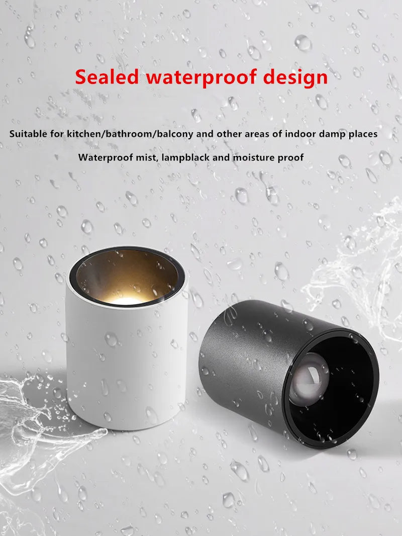 Surface Mounted Waterproof COB Ceiling Lamp