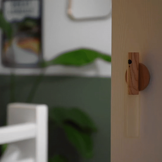 Magnetic LED Motion Sensor Rechargeable Night Light