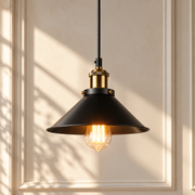 Brass Iron Plated Industrial Pendant Light