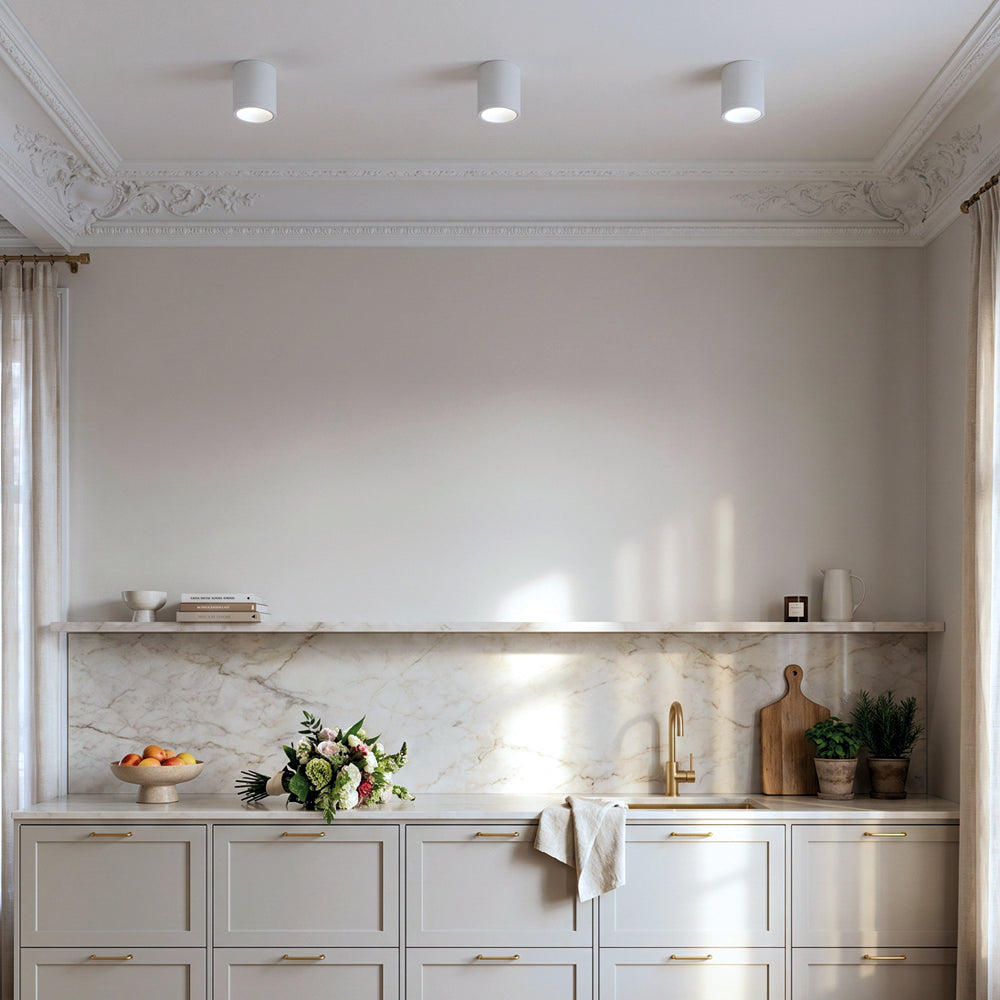 Surface Mounted Waterproof COB Ceiling Lamp