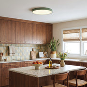 LED Ceiling Nordic Style Colorful Ultra Thin