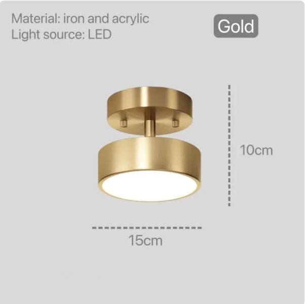 Round Copper Golden Ceiling Lamp