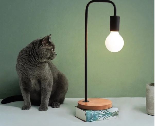 Elegant Iron Curved Table Lamp