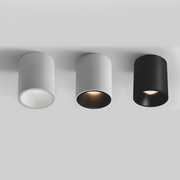 Surface Mounted Waterproof COB Ceiling Lamp