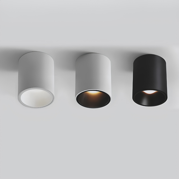 Surface Mounted Waterproof COB Ceiling Lamp