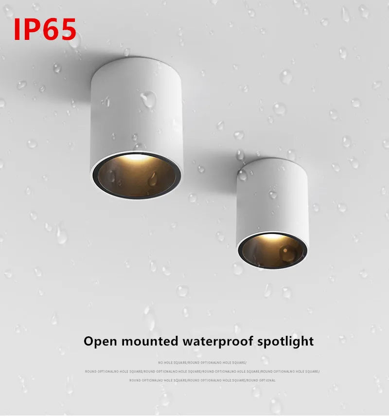 Surface Mounted Waterproof COB Ceiling Lamp