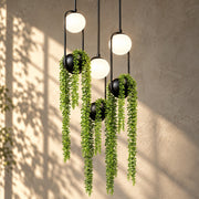 Hanging Garden LED Pendant Light group of three
