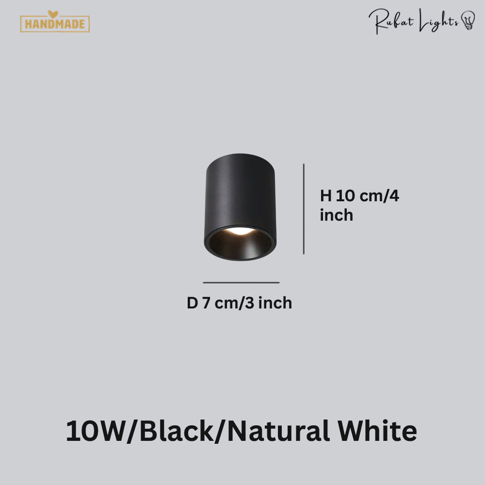 Surface Mounted Waterproof COB Ceiling Lamp