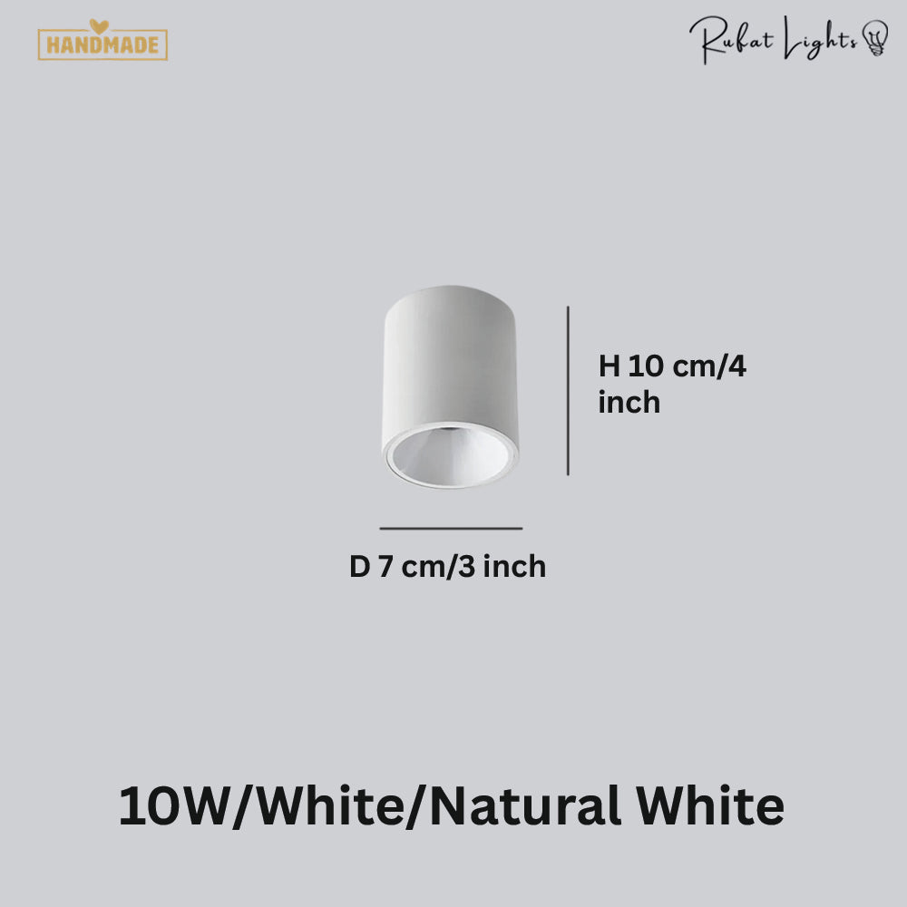 Surface Mounted Waterproof COB Ceiling Lamp