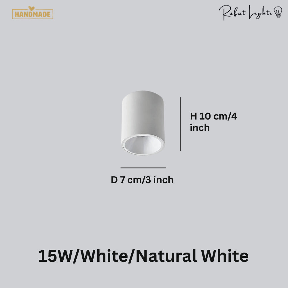 Surface Mounted Waterproof COB Ceiling Lamp