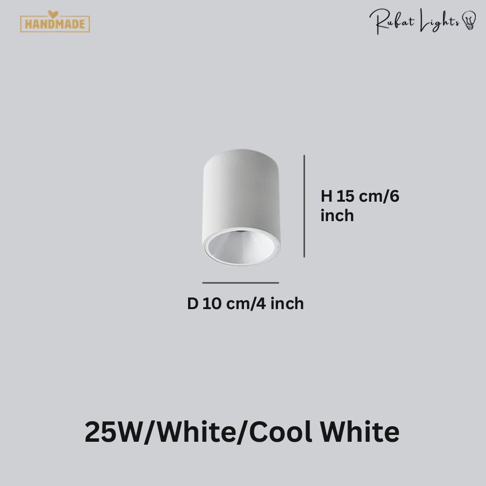 Surface Mounted Waterproof COB Ceiling Lamp
