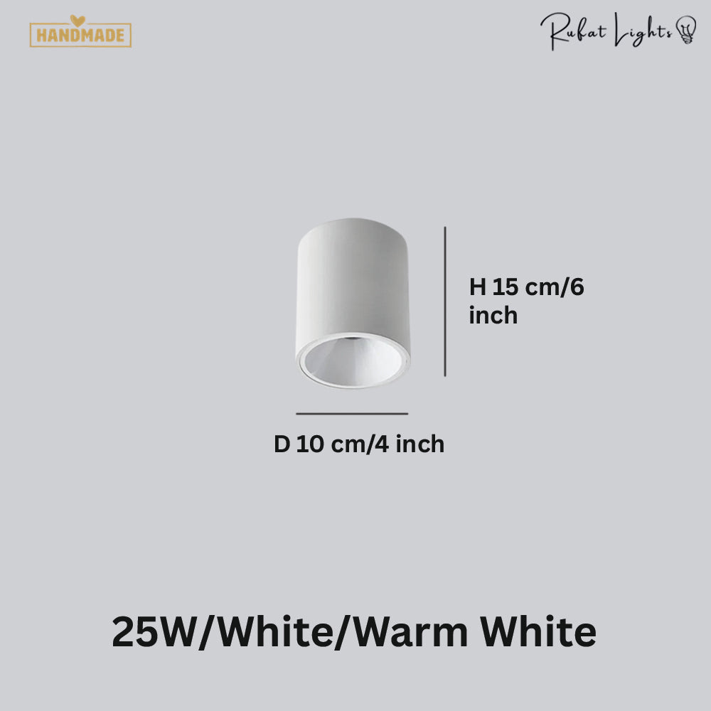 Surface Mounted Waterproof COB Ceiling Lamp