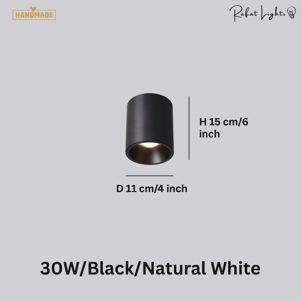 Surface Mounted Waterproof COB Ceiling Lamp