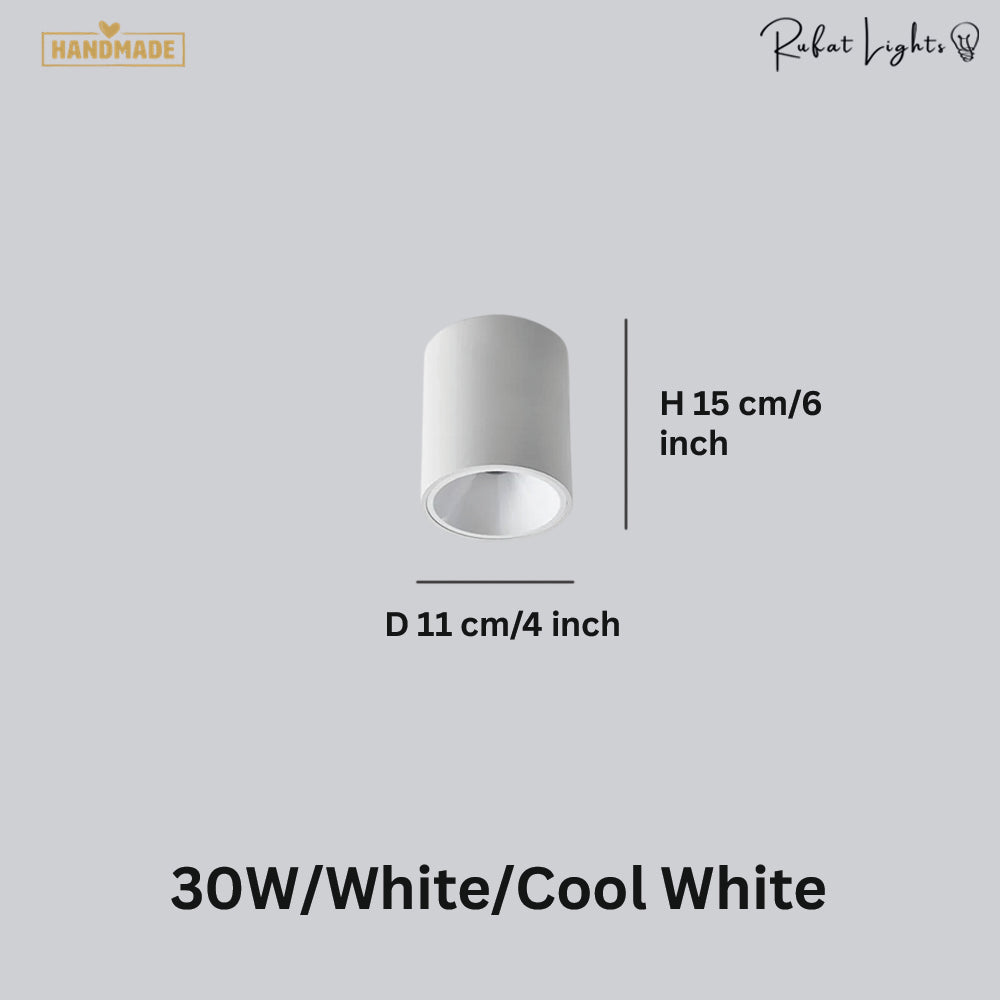 Surface Mounted Waterproof COB Ceiling Lamp