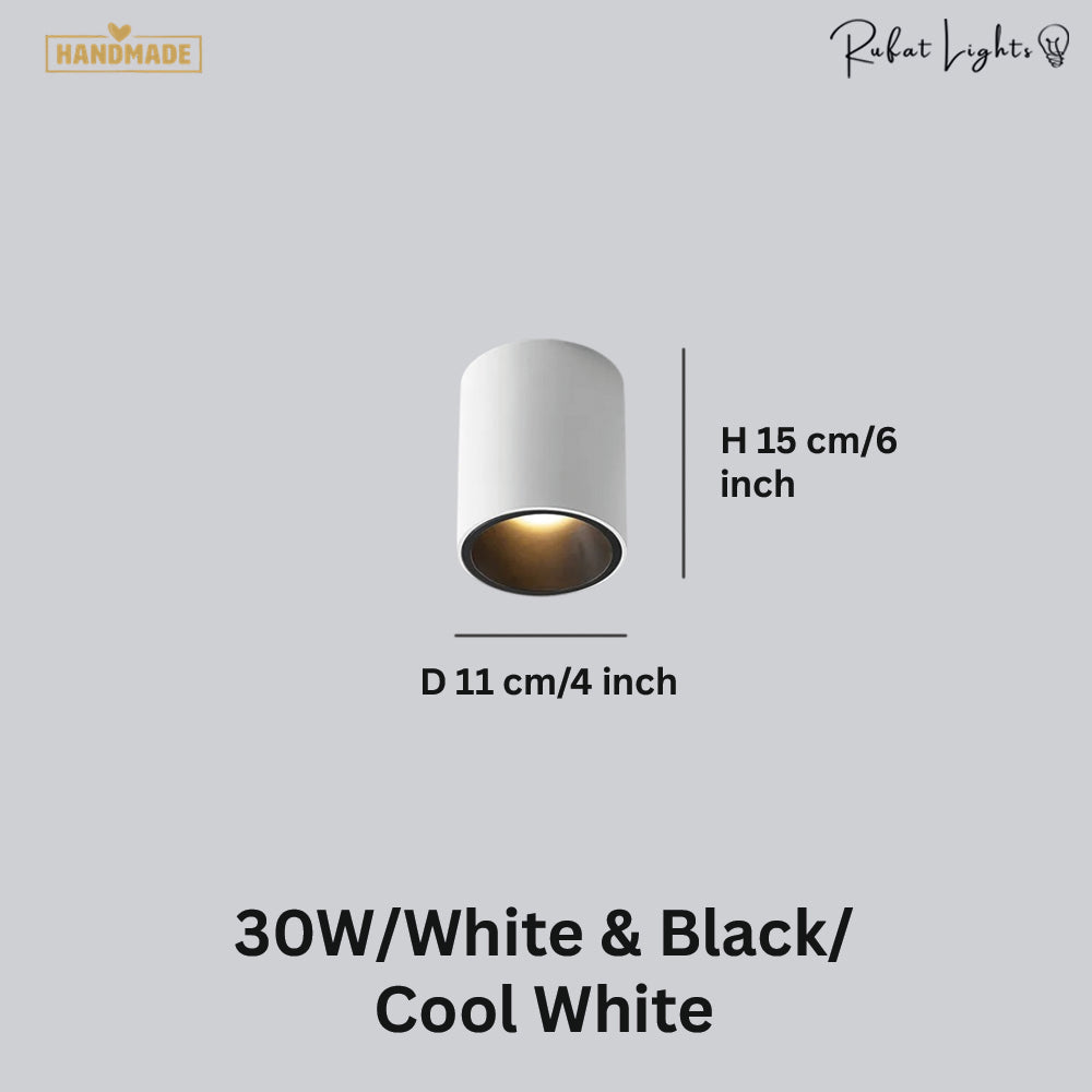 Surface Mounted Waterproof COB Ceiling Lamp