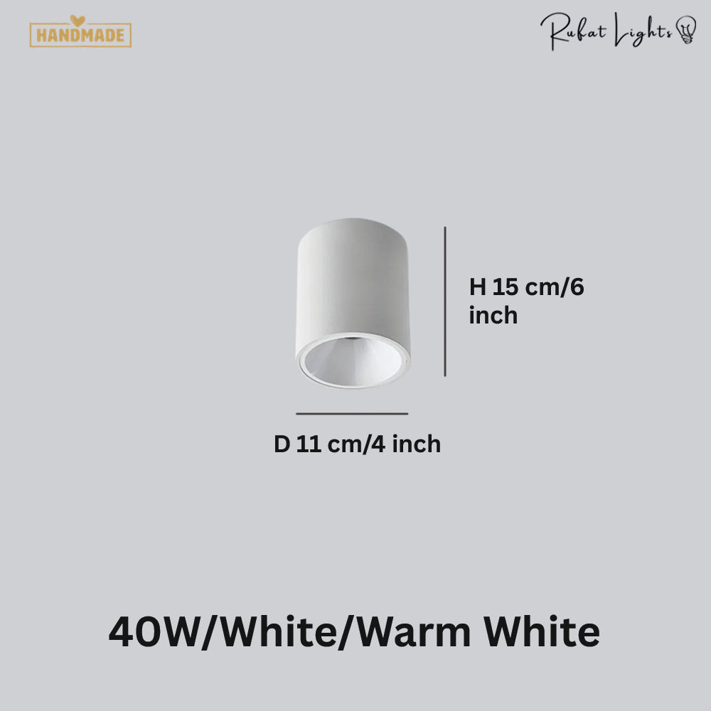 Surface Mounted Waterproof COB Ceiling Lamp