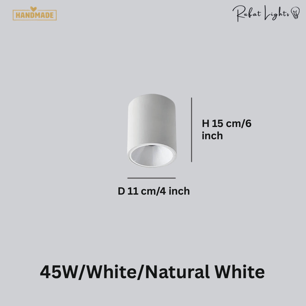 Surface Mounted Waterproof COB Ceiling Lamp