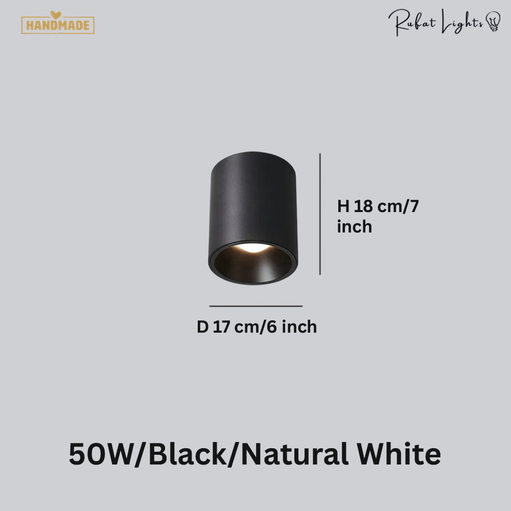 Surface Mounted Waterproof COB Ceiling Lamp