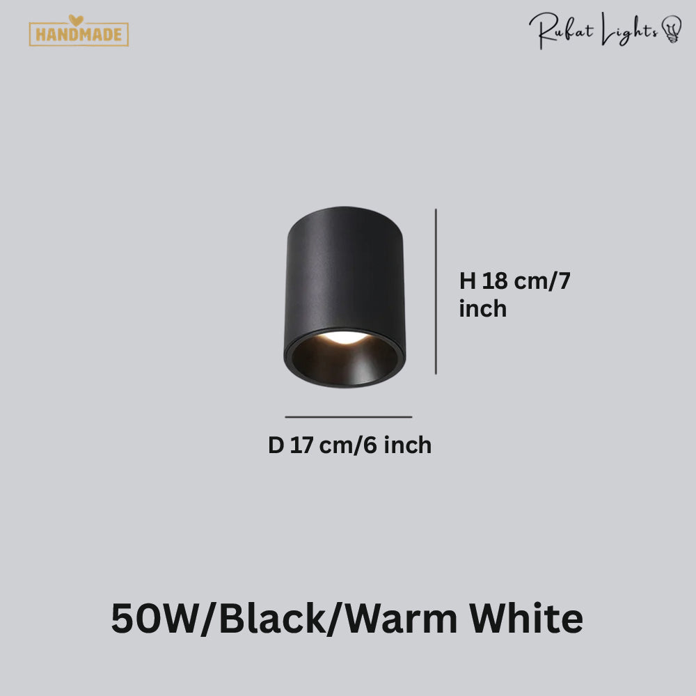 Surface Mounted Waterproof COB Ceiling Lamp