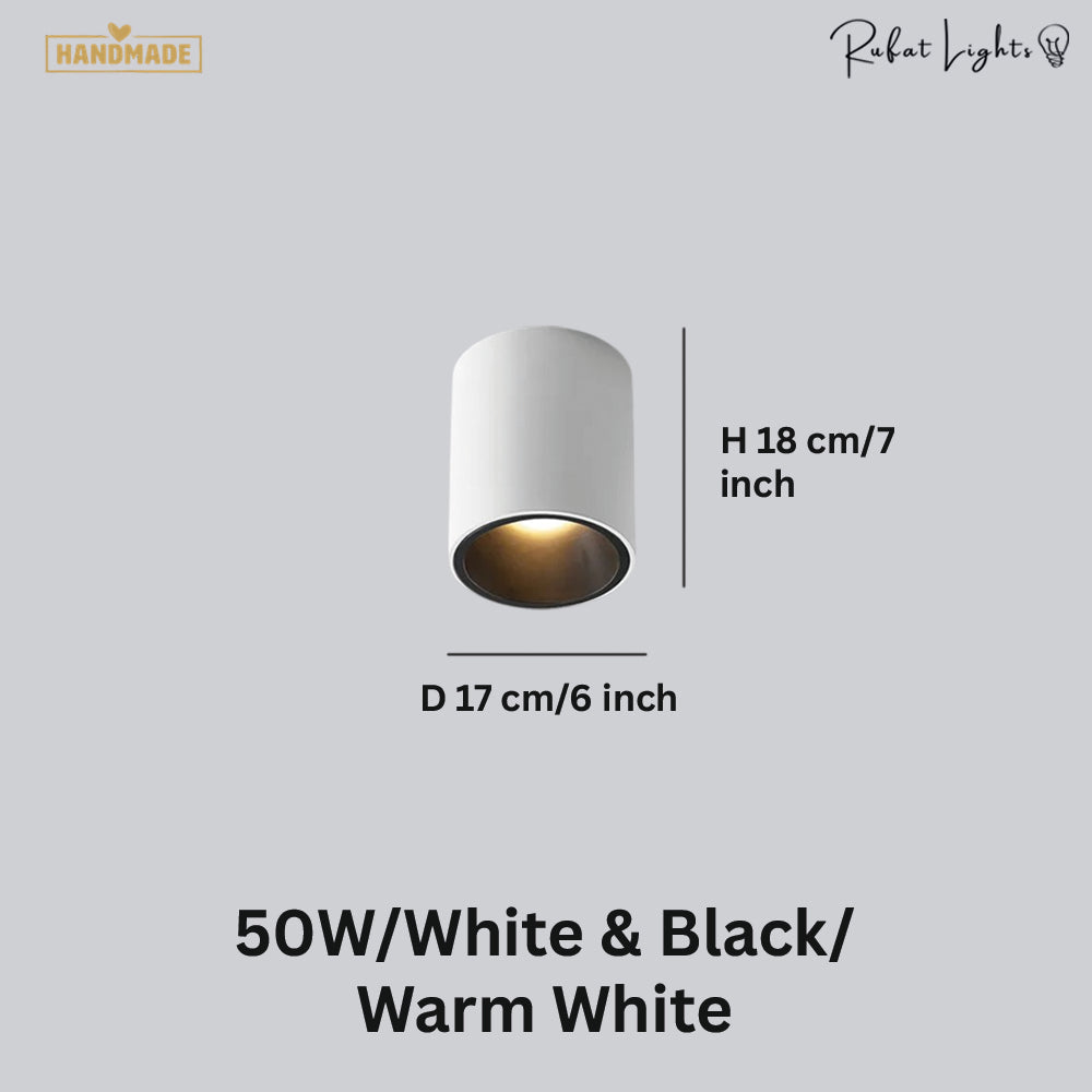 Surface Mounted Waterproof COB Ceiling Lamp