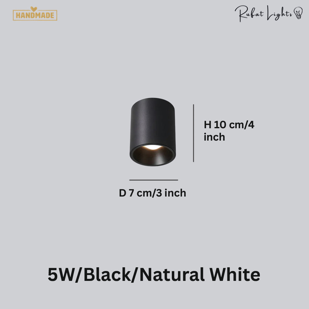 Surface Mounted Waterproof COB Ceiling Lamp