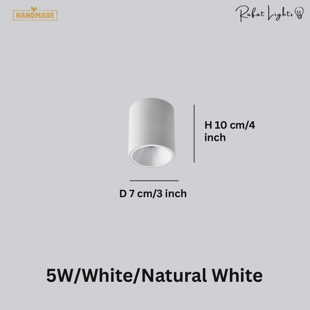 Surface Mounted Waterproof COB Ceiling Lamp