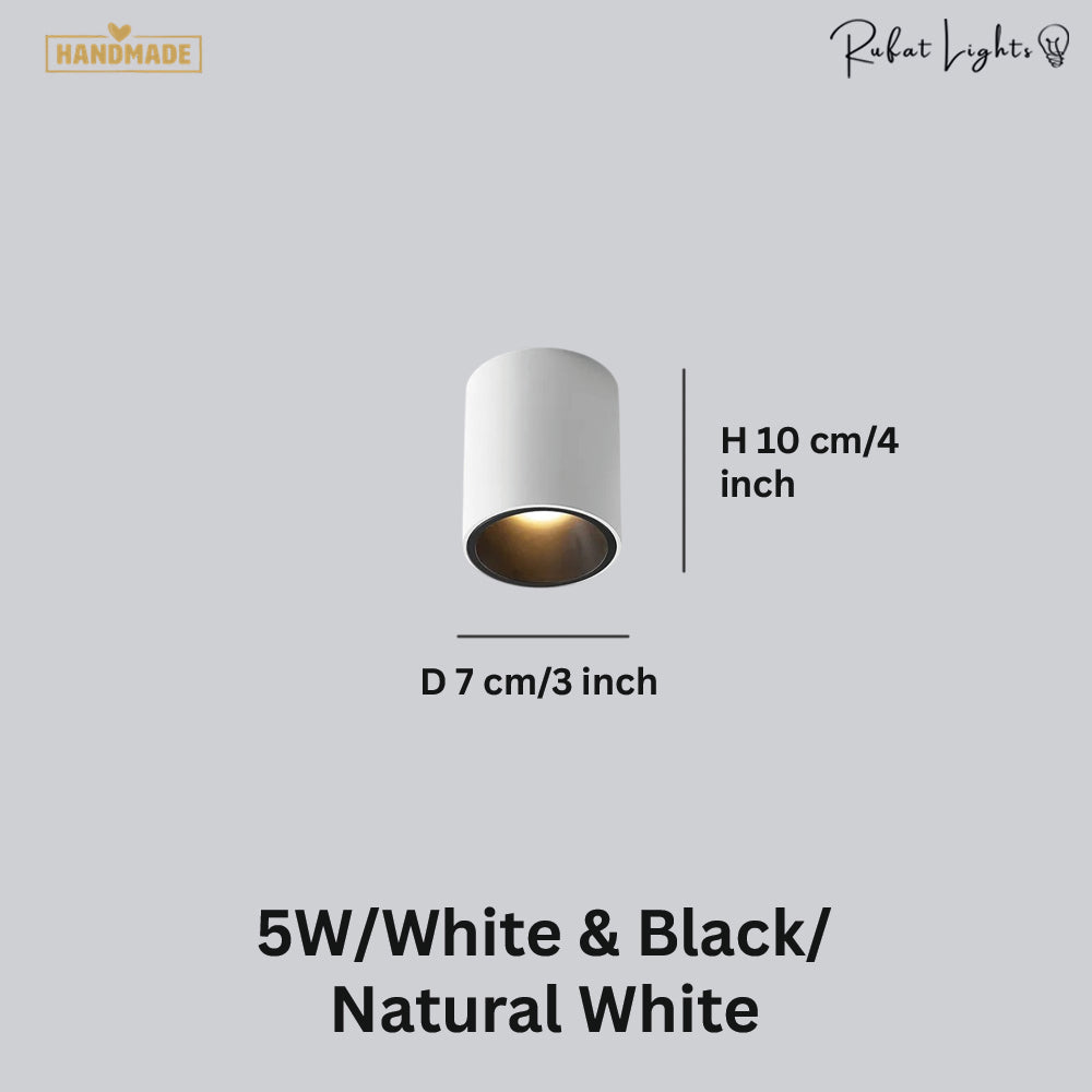 Surface Mounted Waterproof COB Ceiling Lamp