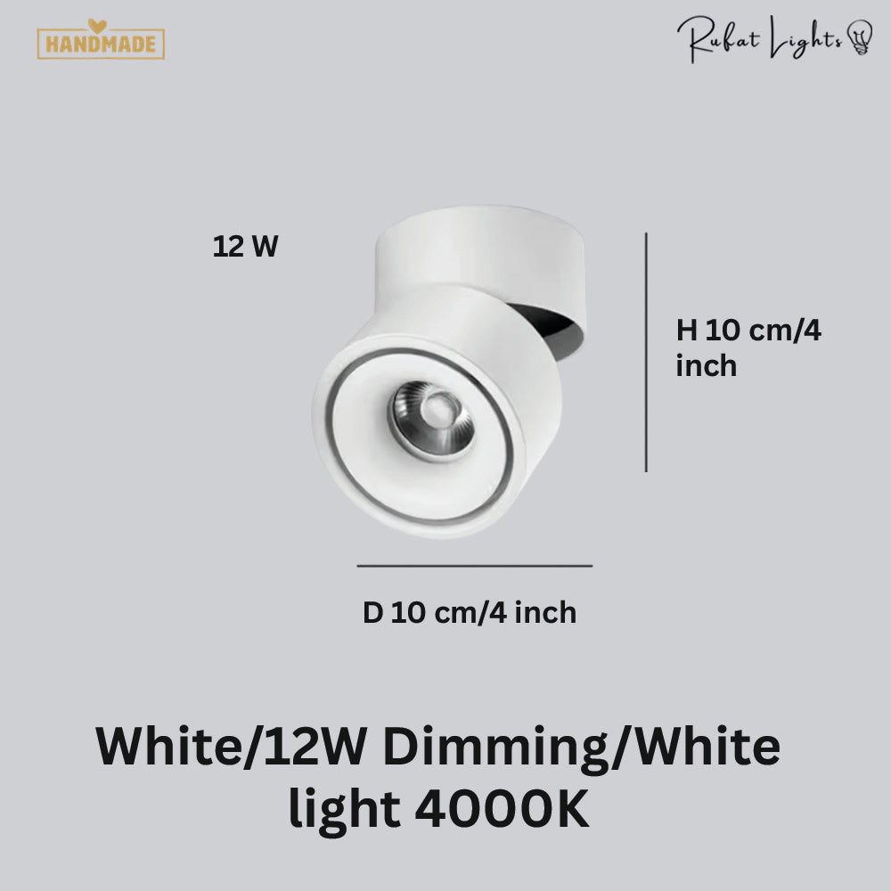 Dimmable Ceiling Light 360 Degree