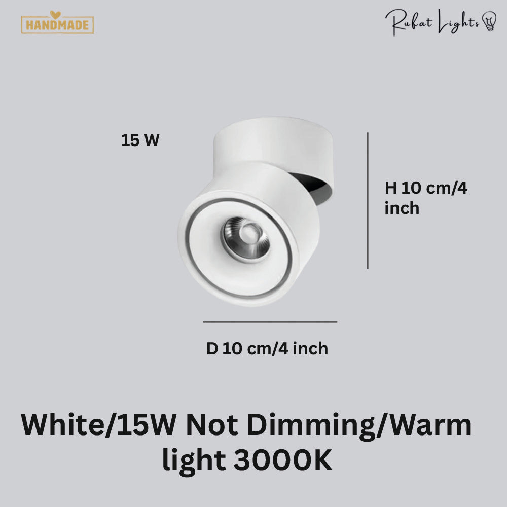 Dimmable Ceiling Light 360 Degree
