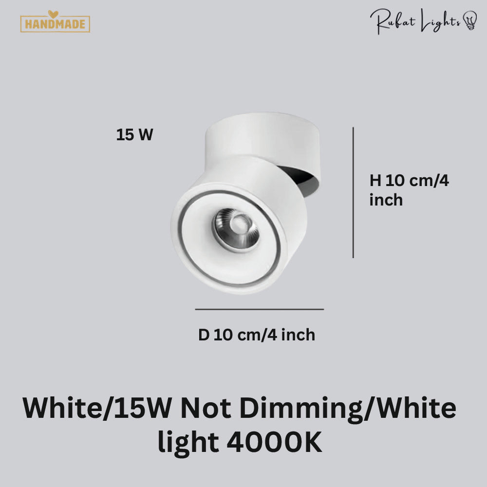 Dimmable Ceiling Light 360 Degree