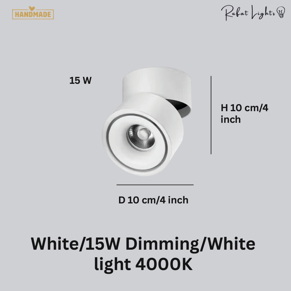 Dimmable Ceiling Light 360 Degree