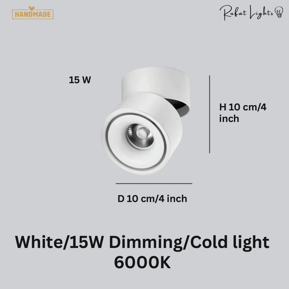 Dimmable Ceiling Light 360 Degree