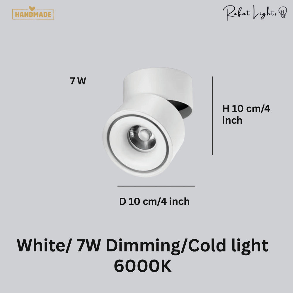 Dimmable Ceiling Light 360 Degree