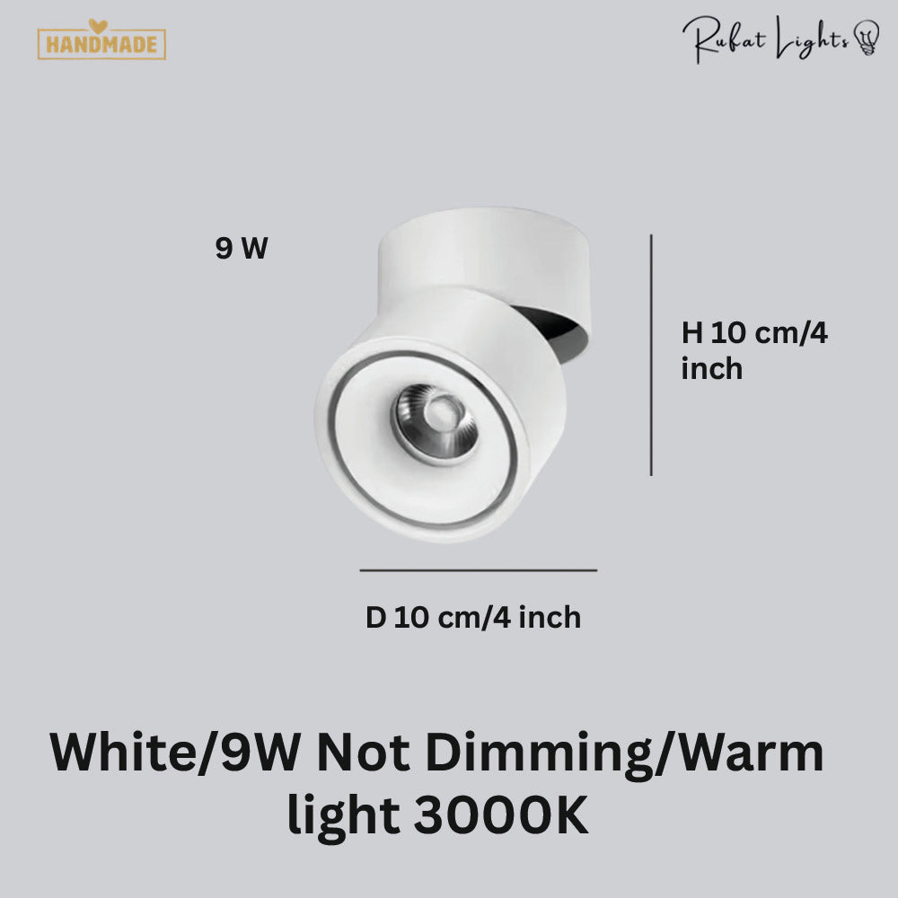 Dimmable Ceiling Light 360 Degree
