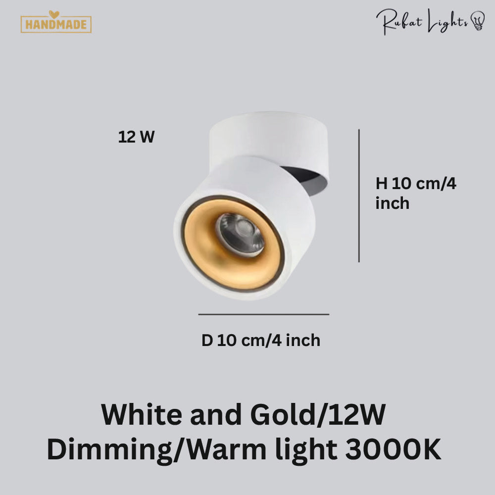Dimmable Ceiling Light 360 Degree