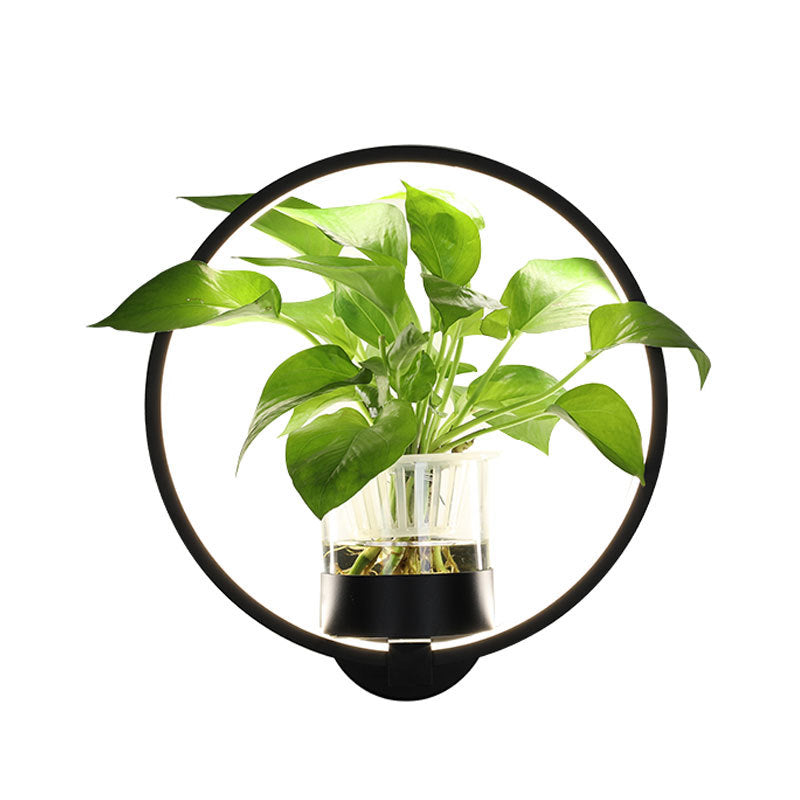 decorative hydroponic plants Hydroponic Green Plant Decorative LED Background Wall Lamp, Round / Black / Warm White