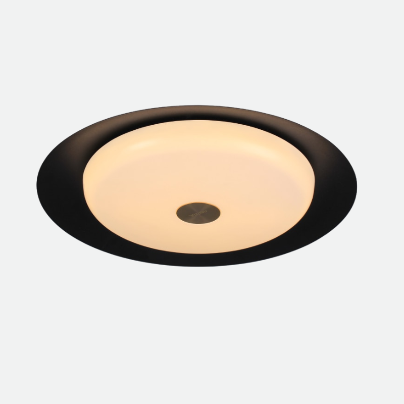 Contemporary LED Ceiling Light