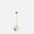 Blossom LED Pendant Light with Glass Revival