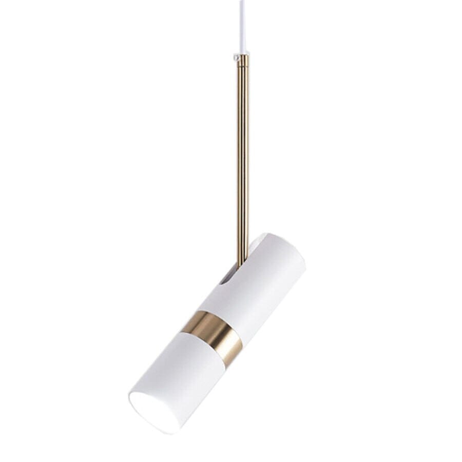 Adjustable Spot Light Rotatable LED Pendant Light