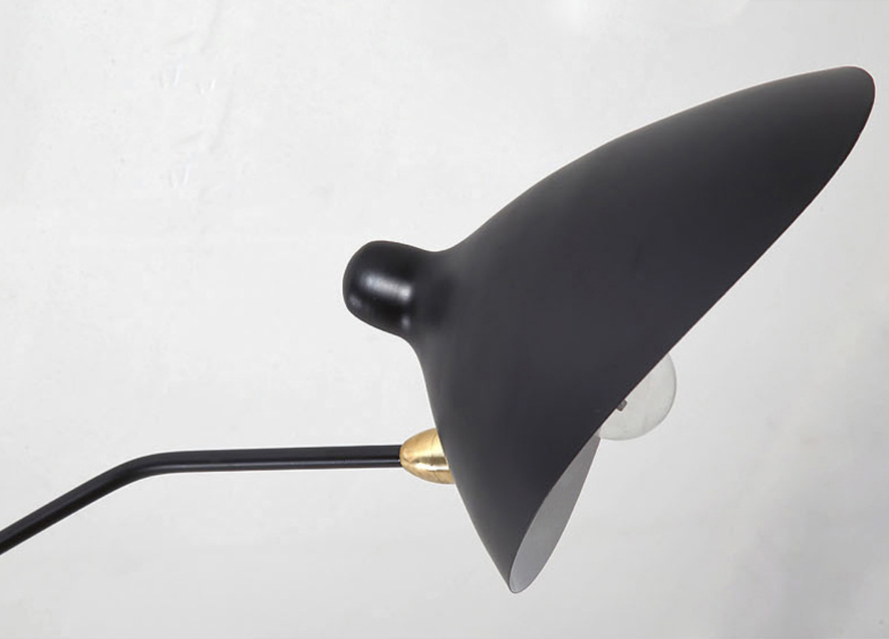 Rotating Arm Duckbill Wall Light