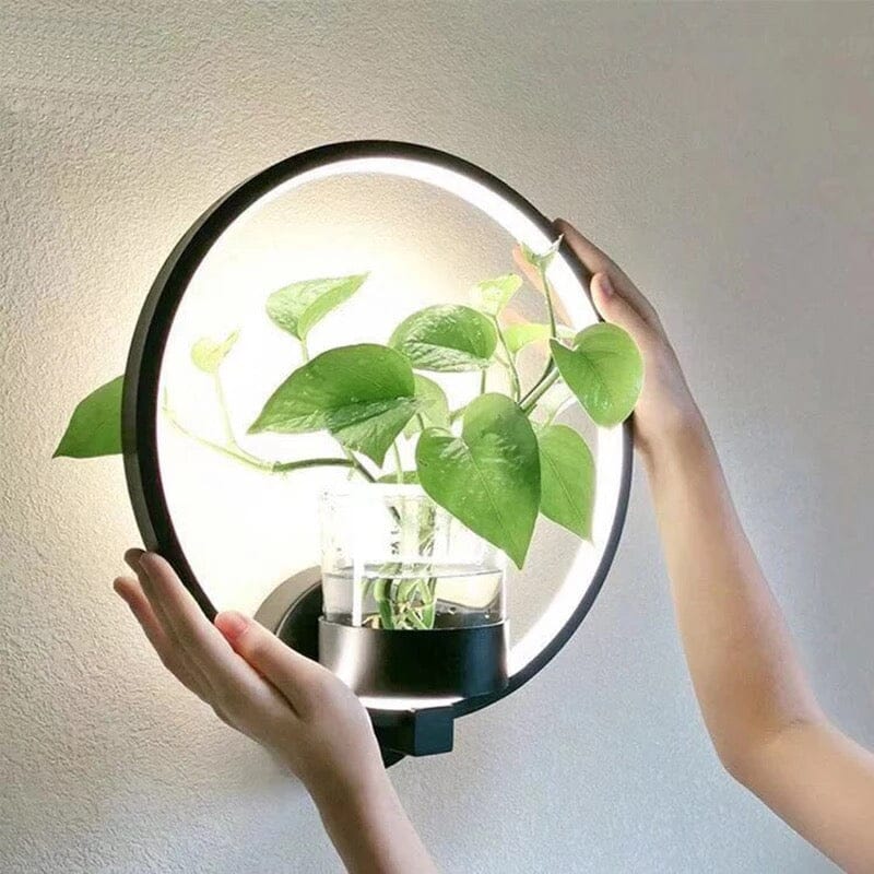 decorative hydroponic plants Hydroponic Green Plant Decorative LED Background Wall Lamp, Round / Black / Warm White