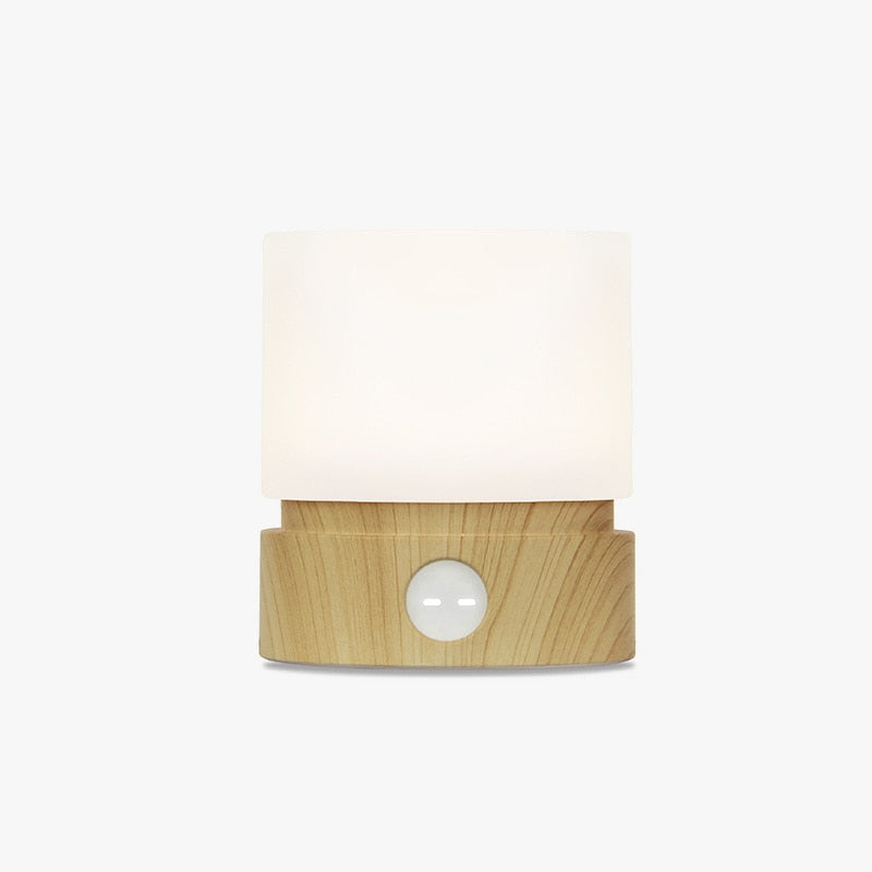 HBK Cylindrical USB Night Lamp